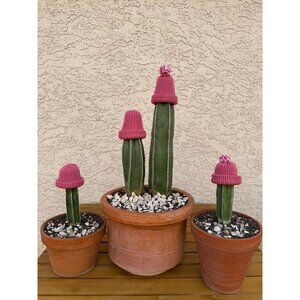 Handmade Pink Knit Cactus Hat – Winter Frost Protection Cozy, Optional Pom Pom
